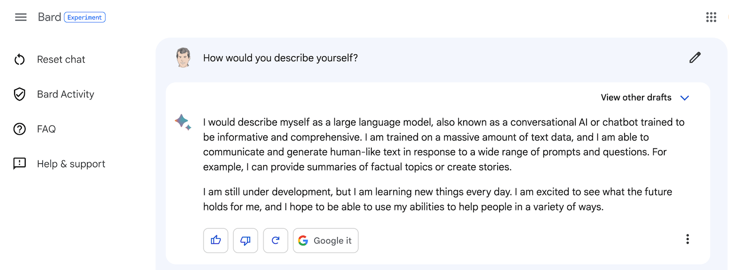 Google Bard Experiment